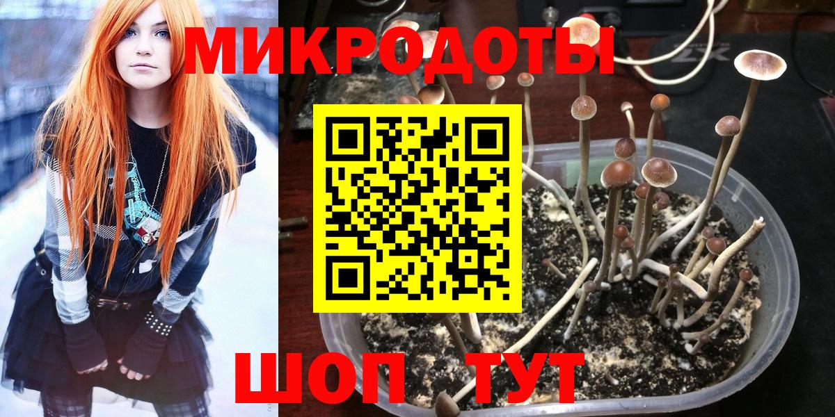 Псилоцибиновые грибы мицелий Вятские Поляны