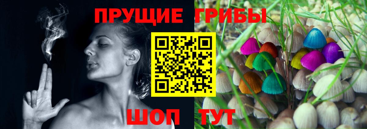 купить наркотики цена  Вход с VPN  Вятские Поляны  Галлюциногенные грибы GOLDEN TEACHER 
